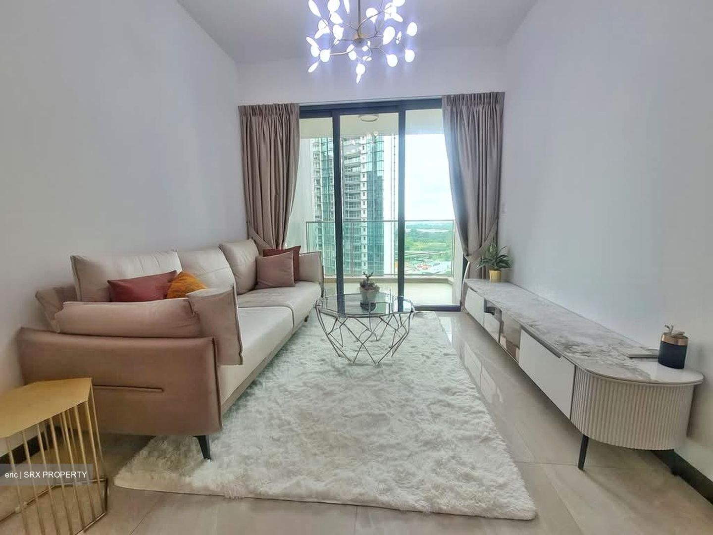Normanton Park (D5), Apartment #540104321